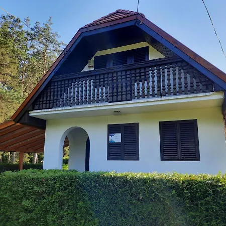 Vadasa Nyaralohaz